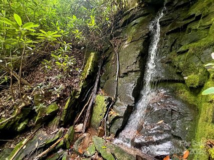 Lot 11 Silver Maple Trail active lot in Round Mountain Falls, Brevard, NC