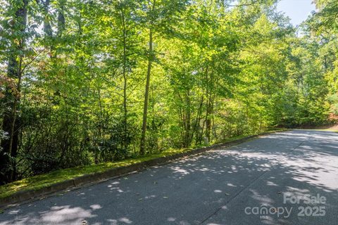 Tbd Pine Mountain Trail active lot in Straus Park, Brevard, NC