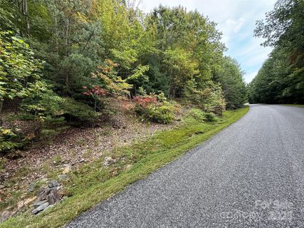 1029 Chippawa Drive active lot in Avery Park, Arden, NC