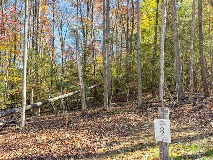 000 Nature Walk Lane sold home in 1901 Reserve, Hendersonville, NC