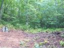 17 Barts Branch Drive sold home in Balsam Grove, SC