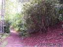 18 Barts Branch Drive sold home in Balsam Grove, SC