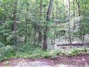 23 Barts Branch Drive sold home in Balsam Grove, SC