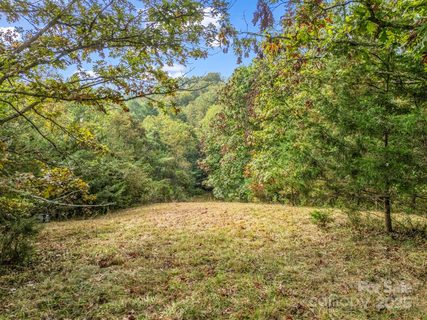 19 Woodchuck Cove Way sold home in Firefly Ridge Estates, Alexander, NC