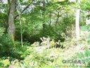 0 Lot 14 Tater Patch Estates sold home in Maggie Valley, SC