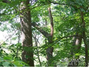 27 29 Lot 27 29Tater Patch Estates sold lot in Tater Patch Estates, Maggie Valley, NC
