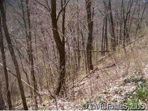 29 27 Lot 29 27 Tater Patch Estates