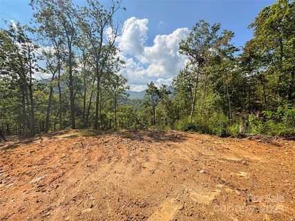 Homes in Cedar Creek Farms, Tuckasegee