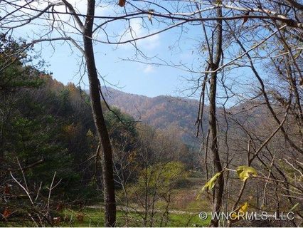 000 Hwy 209 sold lot in Spring Creek, Hot Springs, NC