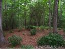 60 E Falls View Drive 58 sold home in Pisgah Forest, SC