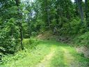 135 Rambling Ridge Road 20 sold home in Asheville, SC