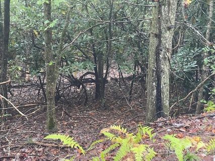 00 Mcdonald Court sold lot in Pisgah Forest Farms, Pisgah Forest, NC