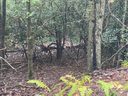 00 Mcdonald Court sold home in Pisgah Forest, SC