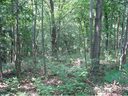91 Mills Place 2 sold home in Asheville, SC
