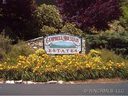 Lot 9 Junebug Trail Trail sold home in Waynesville, SC