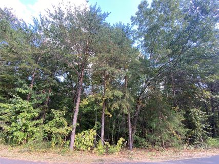 1301 Shadowfax Wynd None active lot in Deerfield, Hickory, NC