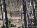 Lot 22 Tater Patch sold home in Maggie Valley, SC