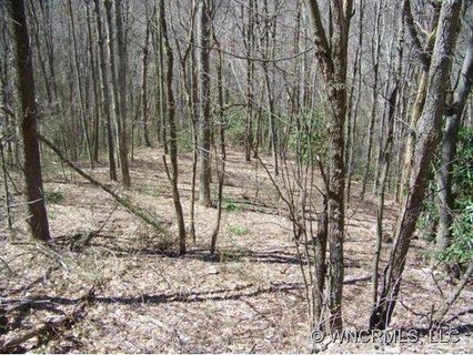 Lot 23 Tater Patch Road