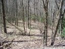 Lot 23 Tater Patch Road sold home in Maggie Valley, SC