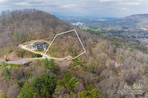 Homes in Grove Park Cove, Asheville