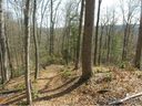 1018 Willow Ridge Dr sold home in Hendersonville, SC