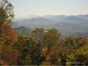 1 Woodpecker sold home in Maggie Valley, SC