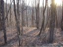 Lot 19 Crystal Tree Drive sold home in Waynesville, SC
