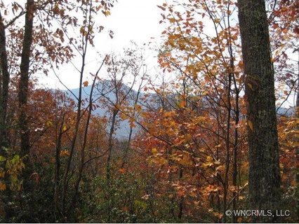Lot 355 Endurance Trail