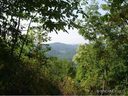 1 Cantrell Mountain Road WC1-1 sold home in Brevard, SC
