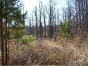 0 Cedarview Drive 10 sold home in Saluda, SC