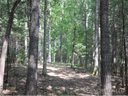 Xx White Oak Drive sold home in Fletcher, SC