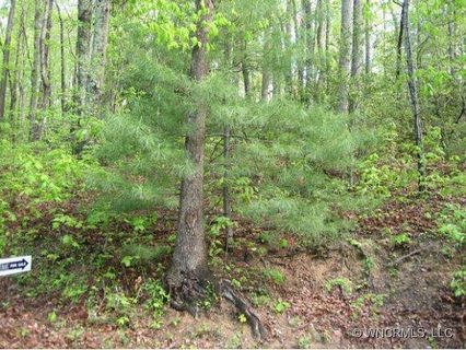 Lot 13 Powder Ridge Drive sold lot in Merrills Park, Asheville, NC