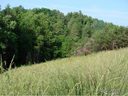 24 Ridge Brook Drive 1 sold home in Weaverville, SC