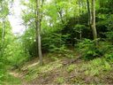 Lot 270 Bison Meadows sold home in Lake Lure, SC