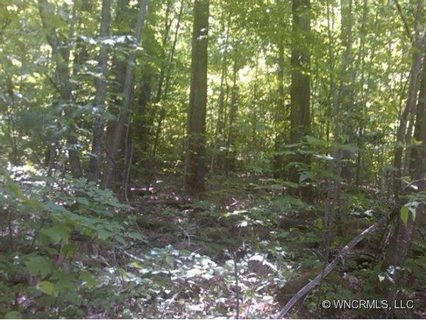 0 Sylvan Cove Lot 7