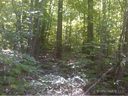 0 Sylvan Cove Lot 7 sold home in Brevard, SC