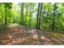 Lot14 15 Cantrell Road sold home in Brevard, SC