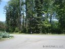 18 Timber Moss sold home in Asheville, SC