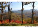 29 Cliffledge Trail 27 sold home in Black Mountain, SC