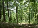 93 Rising Sun Road sold home in Mars Hill, SC