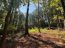 396 White Oak Mountain Road sold home in Columbus, SC