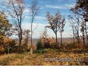 Lot 2 Wildcat Cliffs sold home in Asheville, SC