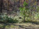 Lot 55 Hawks Pointe Lane sold home in Weaverville, SC