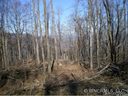 00 Slippery Rock Road 122 sold home in Waynesville, SC