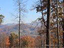 44 Stacy Lane sold home in Hendersonville, SC