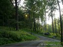 35 Chesten Mountain Drive 5B sold home in Asheville, SC