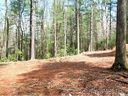 10 Sandy Spring Road sold home in Arden, SC