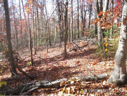 0000 Forest Brook Dr sold lot in Forest Brook Estates, Black Mountain, NC