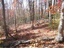 0000 Forest Brook Dr sold home in Black Mountain, SC