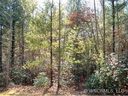 9999 Daylily Drive 1 sold home in Hendersonville, SC